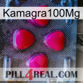 Kamagra100Mg 13